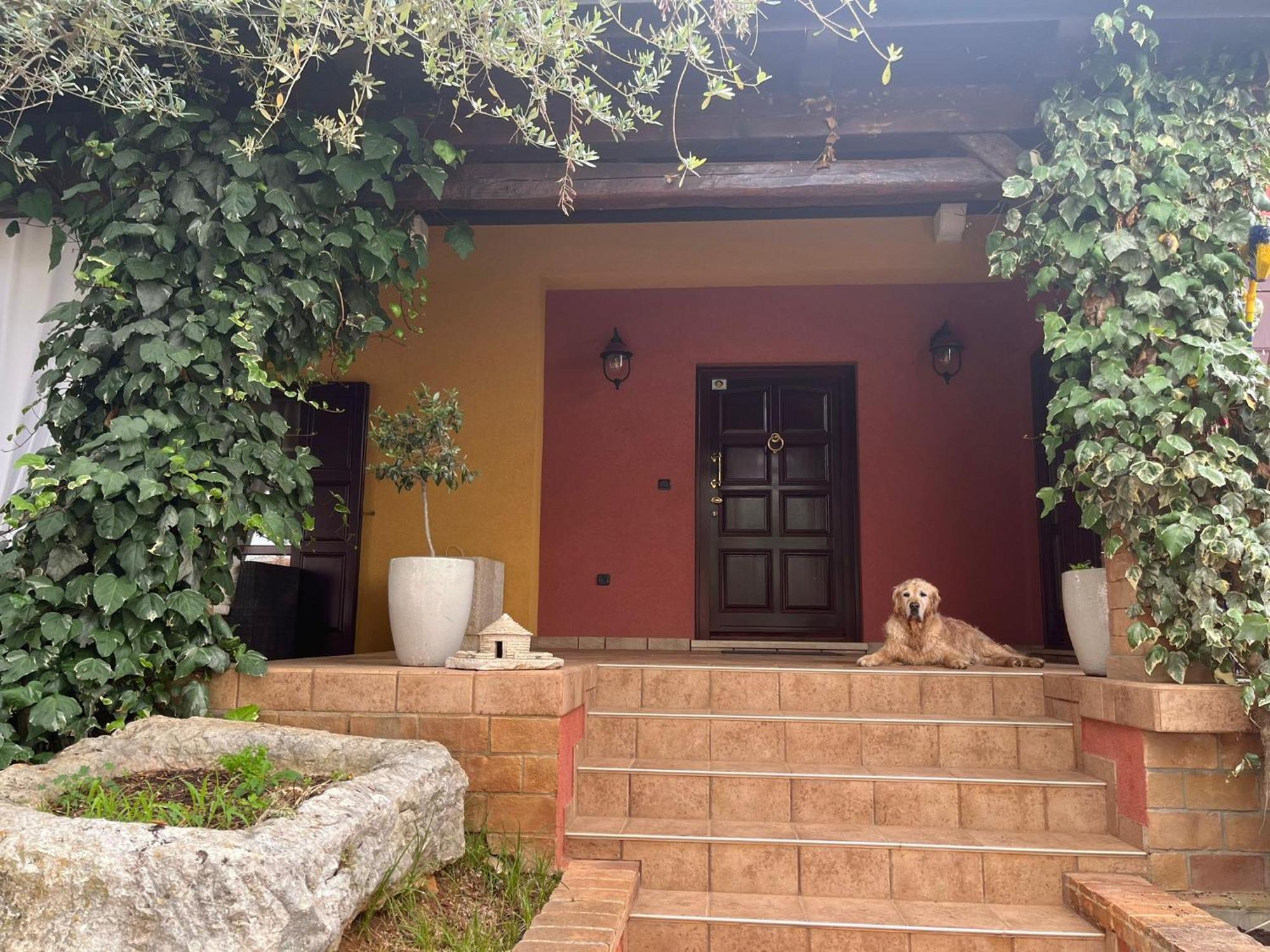 ורסאר New!!! La Magrina - Bed&Breakfast מראה חיצוני תמונה